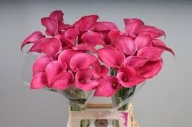 ZANT roz JEWEL,cena par 1 gb